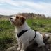 Fred Peer - Facebook
