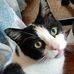 Fred Peets - Facebook