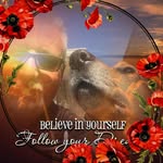 Fred Pendleton - @fredpen42 - Instagram