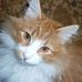 Fred Penn - Facebook