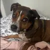 Penny Fredlund - @penny.fredlund - TikTok