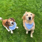 Fred & Penny - @fredboops_pennygirl - Instagram