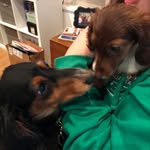 Fred & Penny McCawley - @fred.and.penny - Instagram