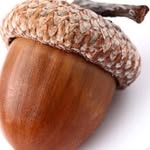 Fred Penny - @someone_i_used_to_ - Instagram