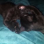 Roo & Bu + Two & Two - @roo_bu_stella_fred_penny_iver - Instagram