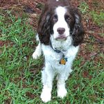 Fred Pepper - @fbpep - Instagram