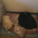 fred.pepper_123 - @fred.pepper_123 - Instagram