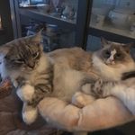 Fred&pepper - @fred.and.pepper - Instagram
