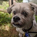 Fred Perkins - @fred.perkinsjr - Instagram