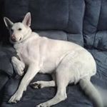 Fred Perkins - @fred.perkins.18007 - Instagram