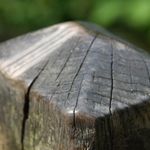 fred perkins - @fredperkinseyesight - Instagram