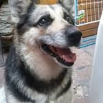 Fred Perrin - @fred.perrin.39 - Instagram