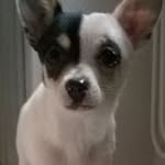 Fred Perrin - @fred.perrin.921 - Instagram