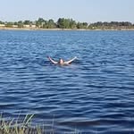 Fredrik Petermann - @fredrik_petermann - Instagram