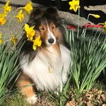 Fred Pfeifer - @fred.pfeifer.184 - Instagram