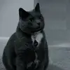 Fred - @fredphipps5 - TikTok