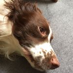 Freddie Phipps - @freddie_phipps345 - Instagram