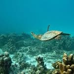 Fred Picard - @f.ac.picard - Instagram