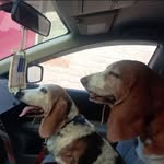 Fred Picknell - @fredpicknell13 - Instagram