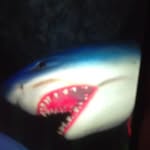 Unknown - @fred_pickle6756 - Instagram