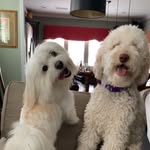 Fred Pickett - @pickett5284 - Instagram