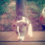 Kayden Edwards - @fred_pickle_gizmo - Instagram