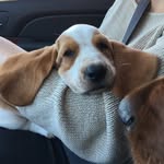 Fred Pickles - @loaf_of_fred - Instagram