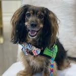 Freddy - @freddypickles - Instagram