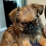 Nacho Rico - @nacho_rico_fred_and_pickles - Instagram