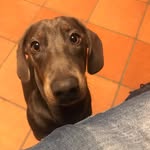 Fred Pierre - @fredpierre7475 - Instagram