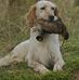 Fred Pinson - Facebook