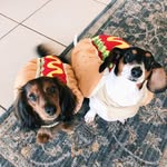 Fred & Piper - @the_sausagepups - Instagram