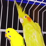 Fred And Piper - @fredandpiper - Instagram