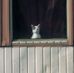 Freda Baxley - Facebook