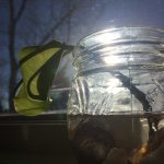 Fred the Plant - @fred.the.plant - Instagram