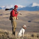 Greg - @fred__the_pointer - Instagram