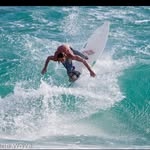 Freddy Poland - @freddypoland - Instagram