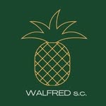 @walfred.poland - Instagram