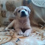 Fred Ponce - @fred_18_23hotmail.com_ - Instagram