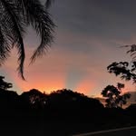 Fred Ponce de Leon - @poncedeleonfred - Instagram