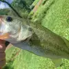 fredrickpond - @fredrickpond2 - TikTok