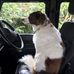 Fred Poole - Facebook