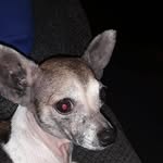 Fred Porter - @fred.porter.391420 - Instagram