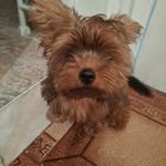 @_fredporto - Instagram