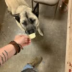 Fred prather - @prather9262 - Instagram