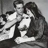 For people with taste in Music - @freddie.presley - TikTok