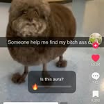 Fred Quick - @fred__quick - Instagram