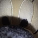 Fred Quinn - @fred.quinn.5477 - Instagram