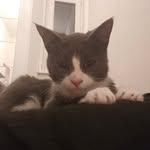 Fred quinn - @fredquinn51 - Instagram