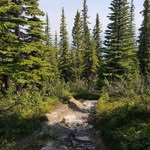 Fred Radersma - @fredradersma - Instagram